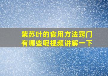 紫苏叶的食用方法窍门有哪些呢视频讲解一下