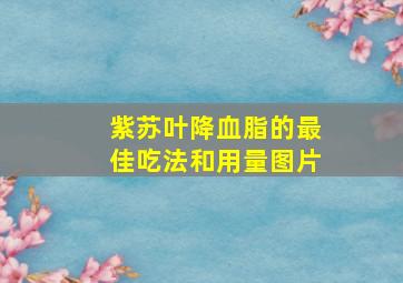 紫苏叶降血脂的最佳吃法和用量图片