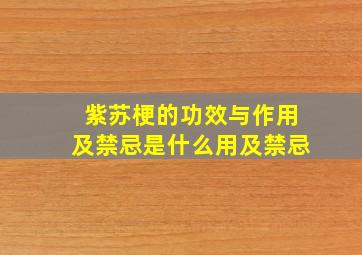 紫苏梗的功效与作用及禁忌是什么用及禁忌