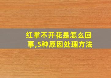 红掌不开花是怎么回事,5种原因处理方法