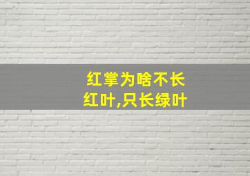 红掌为啥不长红叶,只长绿叶