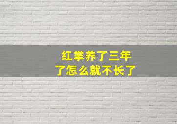 红掌养了三年了怎么就不长了