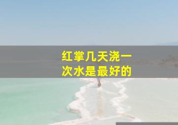 红掌几天浇一次水是最好的