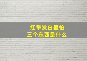 红掌发白最怕三个东西是什么