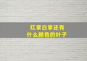 红掌白掌还有什么颜色的叶子