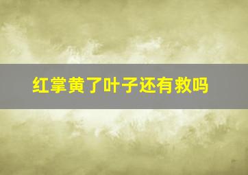 红掌黄了叶子还有救吗