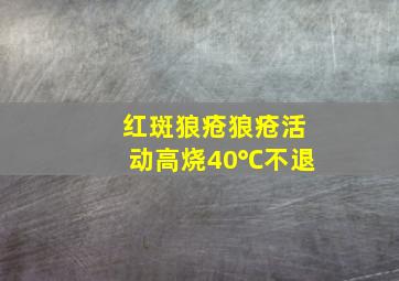 红斑狼疮狼疮活动高烧40℃不退