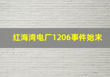 红海湾电厂1206事件始末