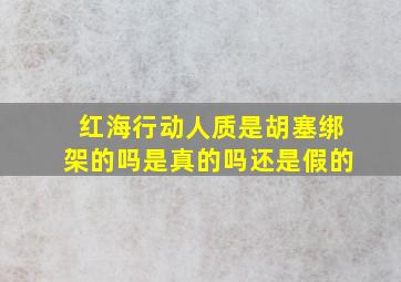 红海行动人质是胡塞绑架的吗是真的吗还是假的