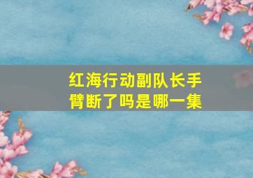 红海行动副队长手臂断了吗是哪一集