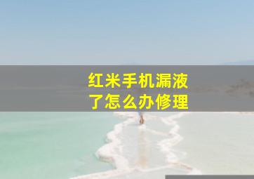 红米手机漏液了怎么办修理