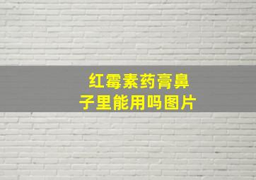 红霉素药膏鼻子里能用吗图片