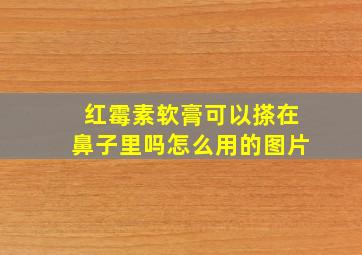 红霉素软膏可以搽在鼻子里吗怎么用的图片