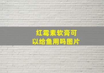 红霉素软膏可以给鱼用吗图片