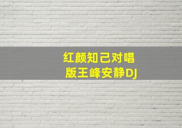 红颜知己对唱版王峰安静DJ