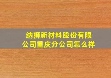 纳狮新材料股份有限公司重庆分公司怎么样