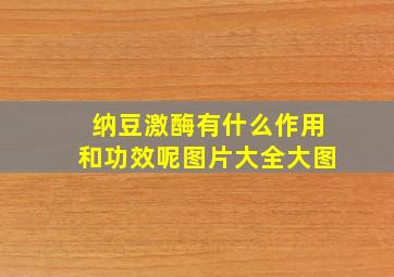 纳豆激酶有什么作用和功效呢图片大全大图