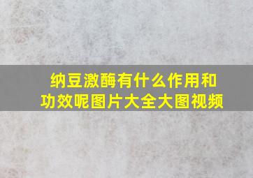 纳豆激酶有什么作用和功效呢图片大全大图视频