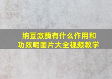 纳豆激酶有什么作用和功效呢图片大全视频教学