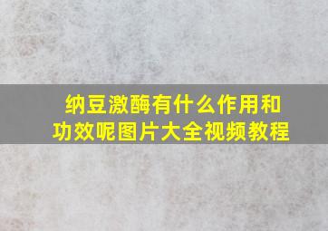 纳豆激酶有什么作用和功效呢图片大全视频教程