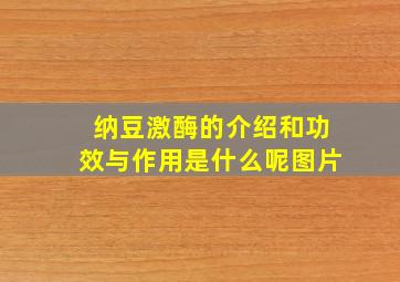 纳豆激酶的介绍和功效与作用是什么呢图片