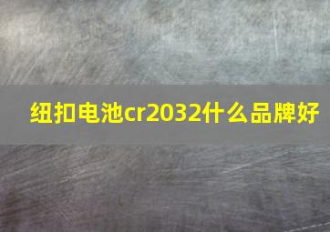 纽扣电池cr2032什么品牌好