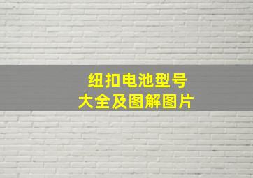 纽扣电池型号大全及图解图片