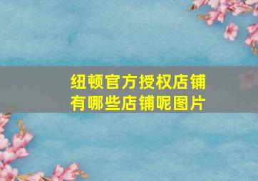 纽顿官方授权店铺有哪些店铺呢图片