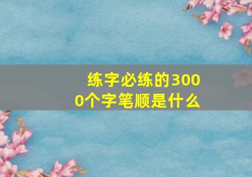 练字必练的3000个字笔顺是什么