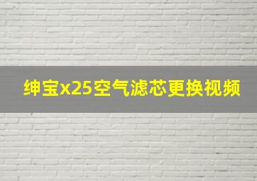 绅宝x25空气滤芯更换视频