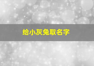 给小灰兔取名字