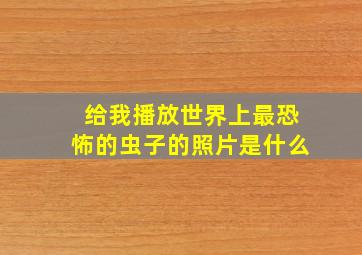 给我播放世界上最恐怖的虫子的照片是什么