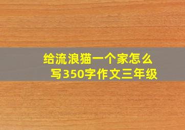 给流浪猫一个家怎么写350字作文三年级