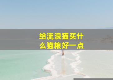 给流浪猫买什么猫粮好一点