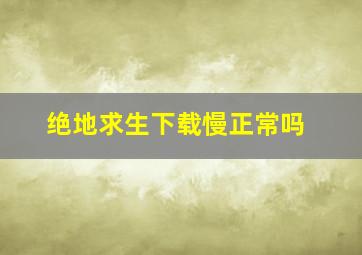 绝地求生下载慢正常吗