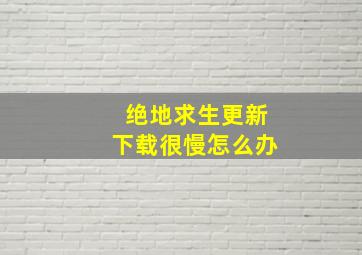 绝地求生更新下载很慢怎么办