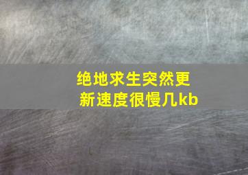 绝地求生突然更新速度很慢几kb