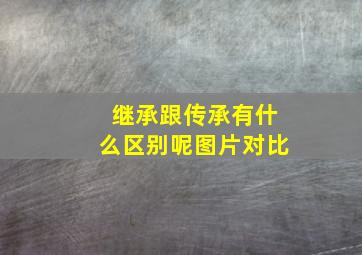 继承跟传承有什么区别呢图片对比