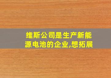 维斯公司是生产新能源电池的企业,想拓展