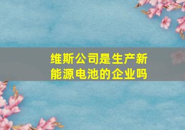 维斯公司是生产新能源电池的企业吗