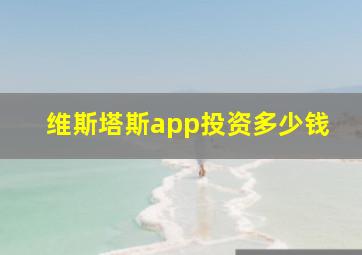 维斯塔斯app投资多少钱