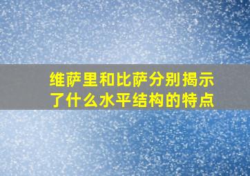 维萨里和比萨分别揭示了什么水平结构的特点