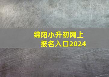 绵阳小升初网上报名入口2024