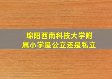 绵阳西南科技大学附属小学是公立还是私立