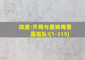 综漫:开局与盾娘梅普露组队!(1-315)