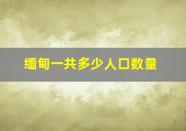 缅甸一共多少人口数量