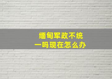 缅甸军政不统一吗现在怎么办