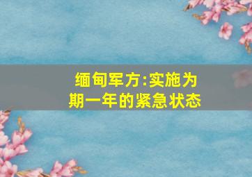 缅甸军方:实施为期一年的紧急状态