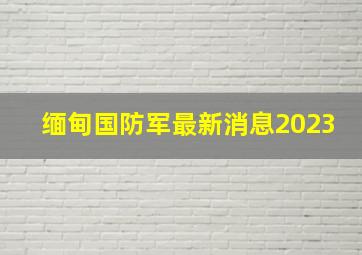 缅甸国防军最新消息2023