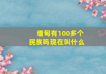 缅甸有100多个民族吗现在叫什么